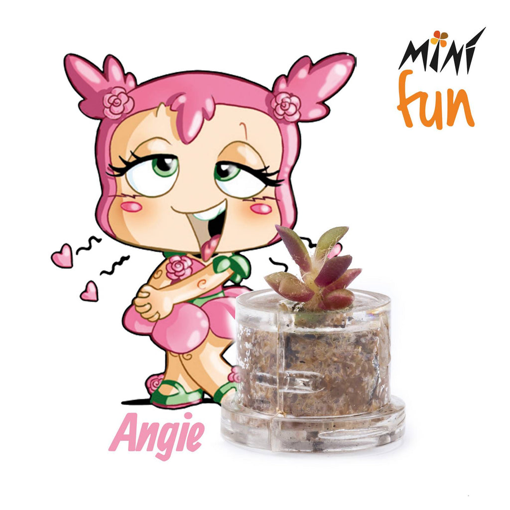 Minì Fun Angie - Dolce e romantica, rappresenta l'amore!