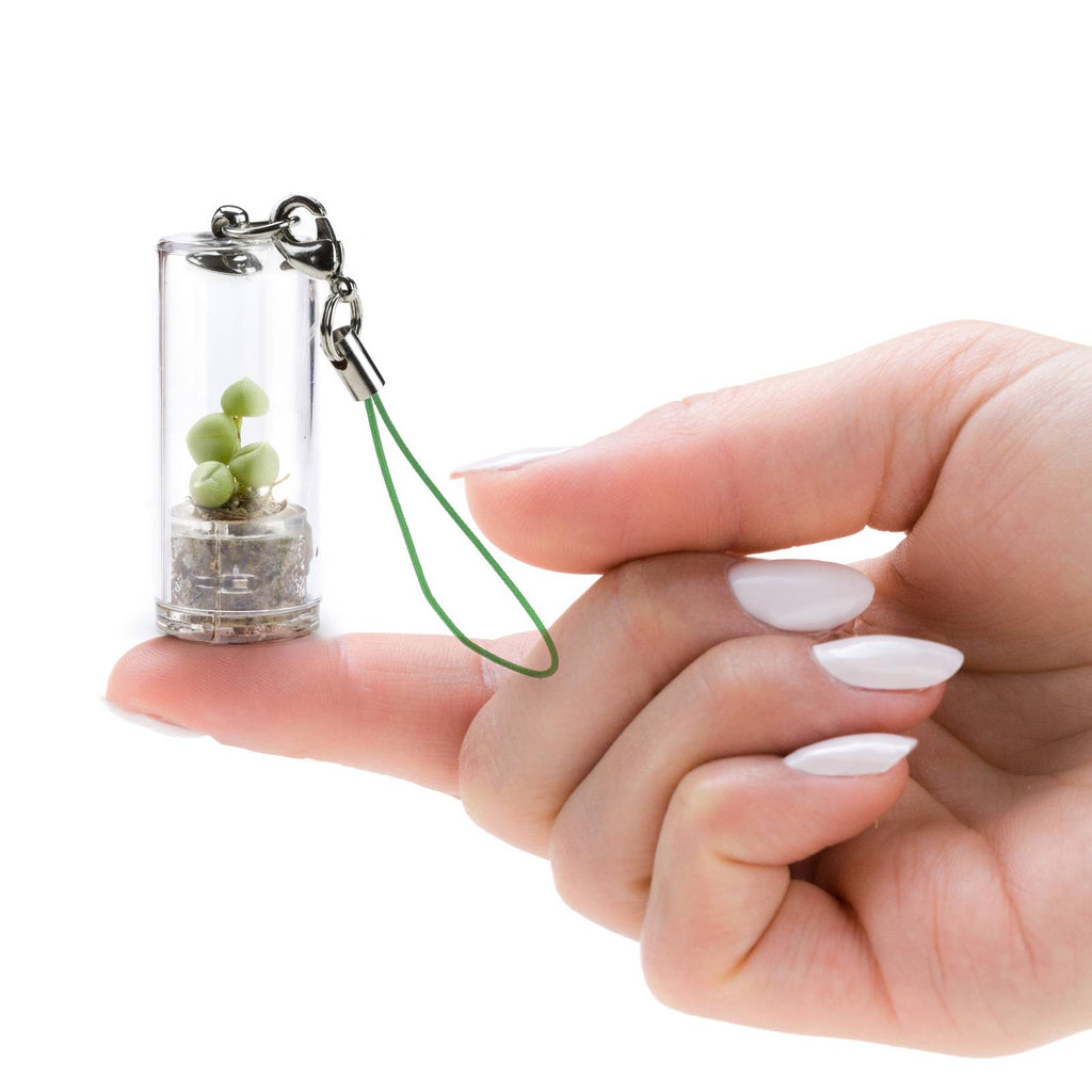 Minì Fun Eve - Dolce e delicata, rappresenta la tenerezza!