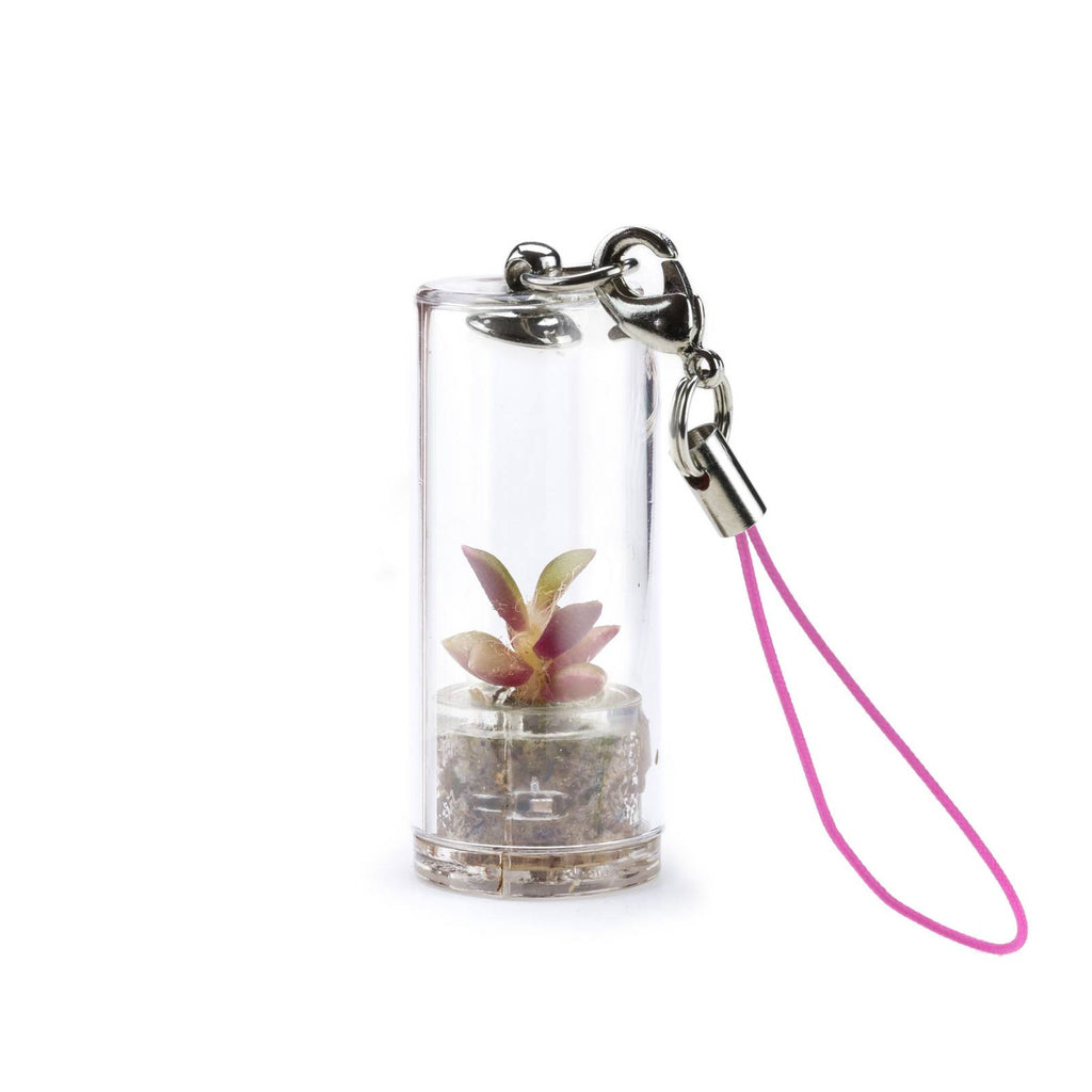 MINIFUN - EASYPACK - ANGIE