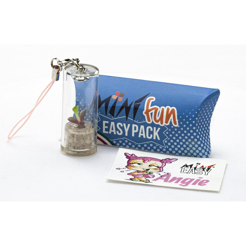 MINIFUN - EASYPACK - ANGIE