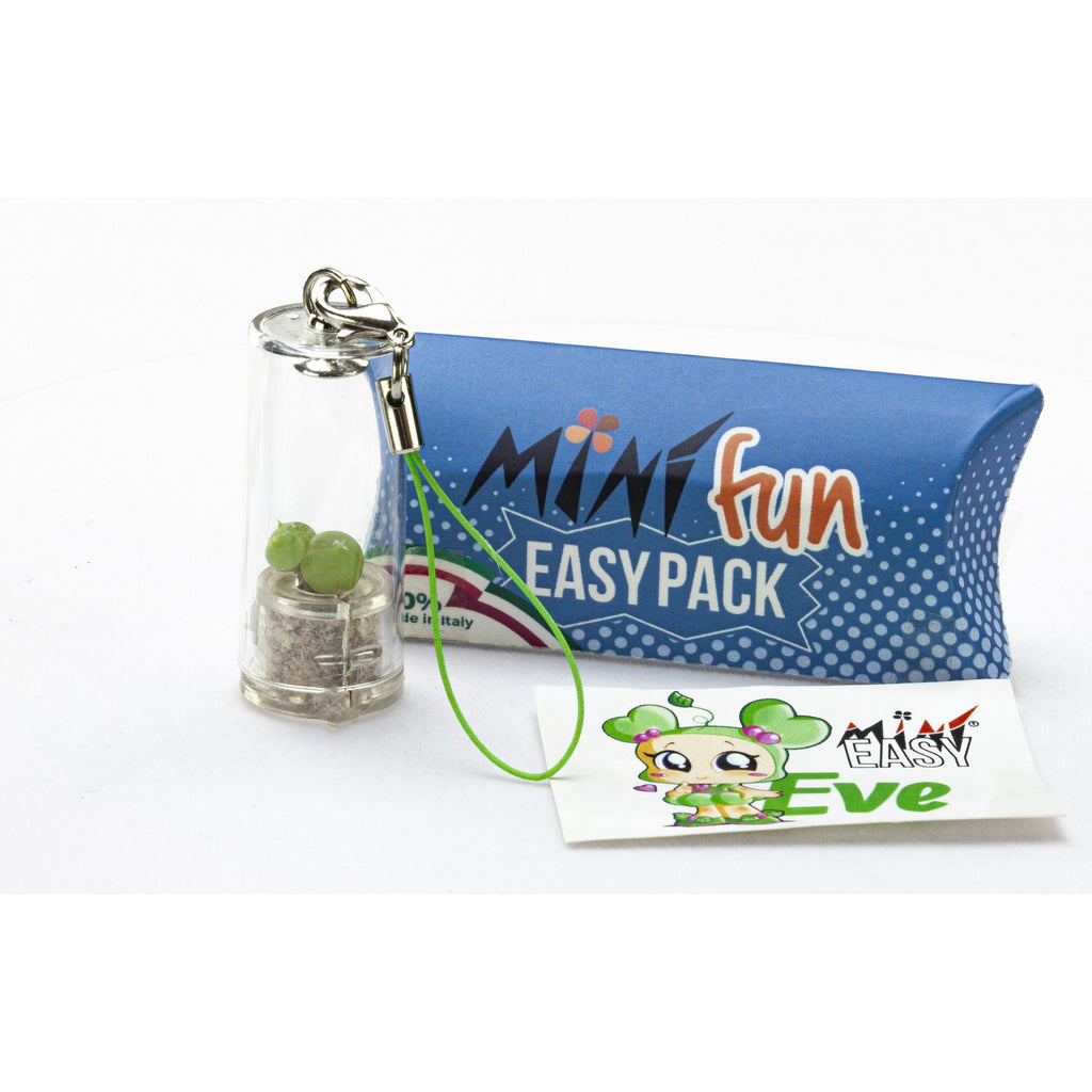 MINIFUN - EASYPACK - EVE
