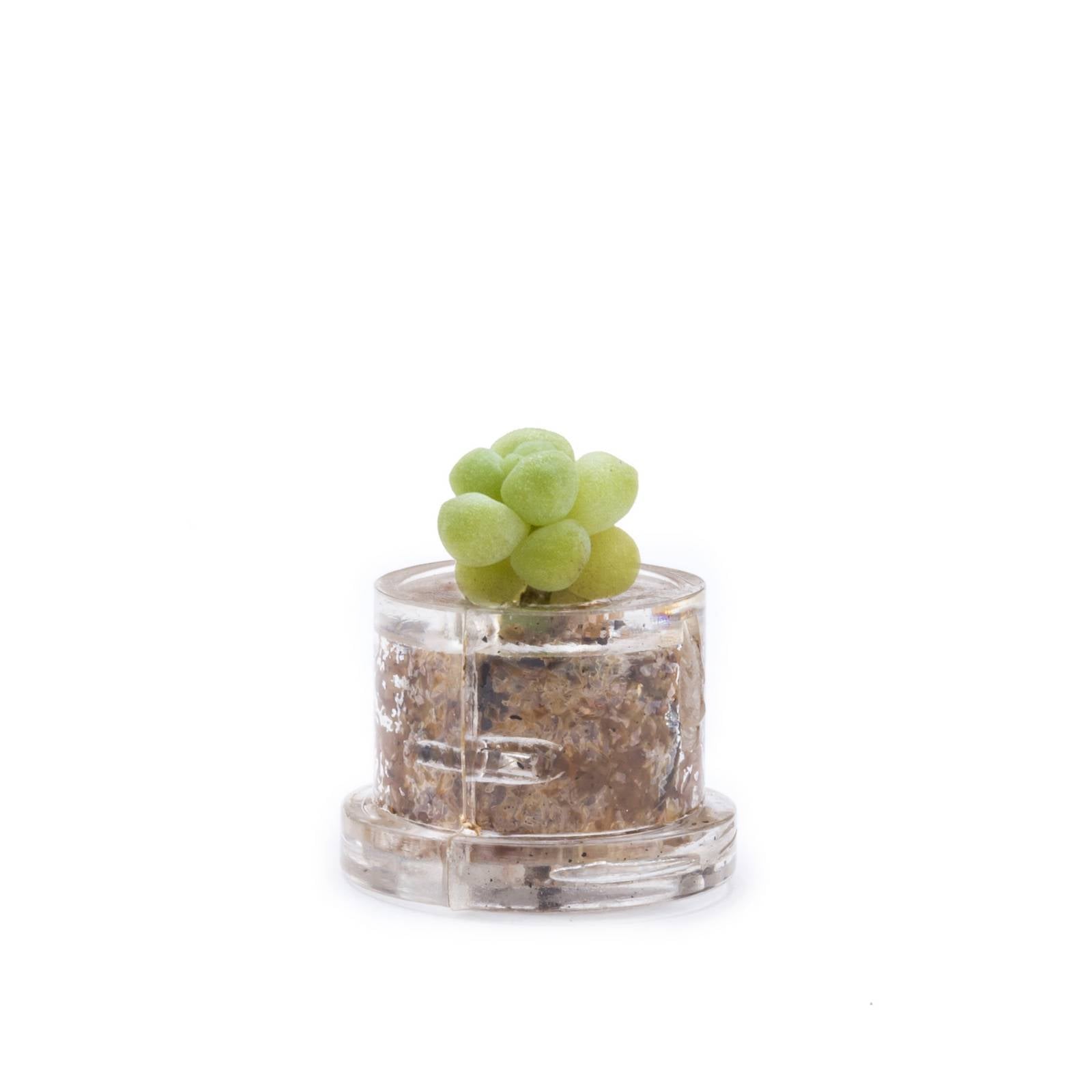 MINIFUN – EASYPACK – FLOE