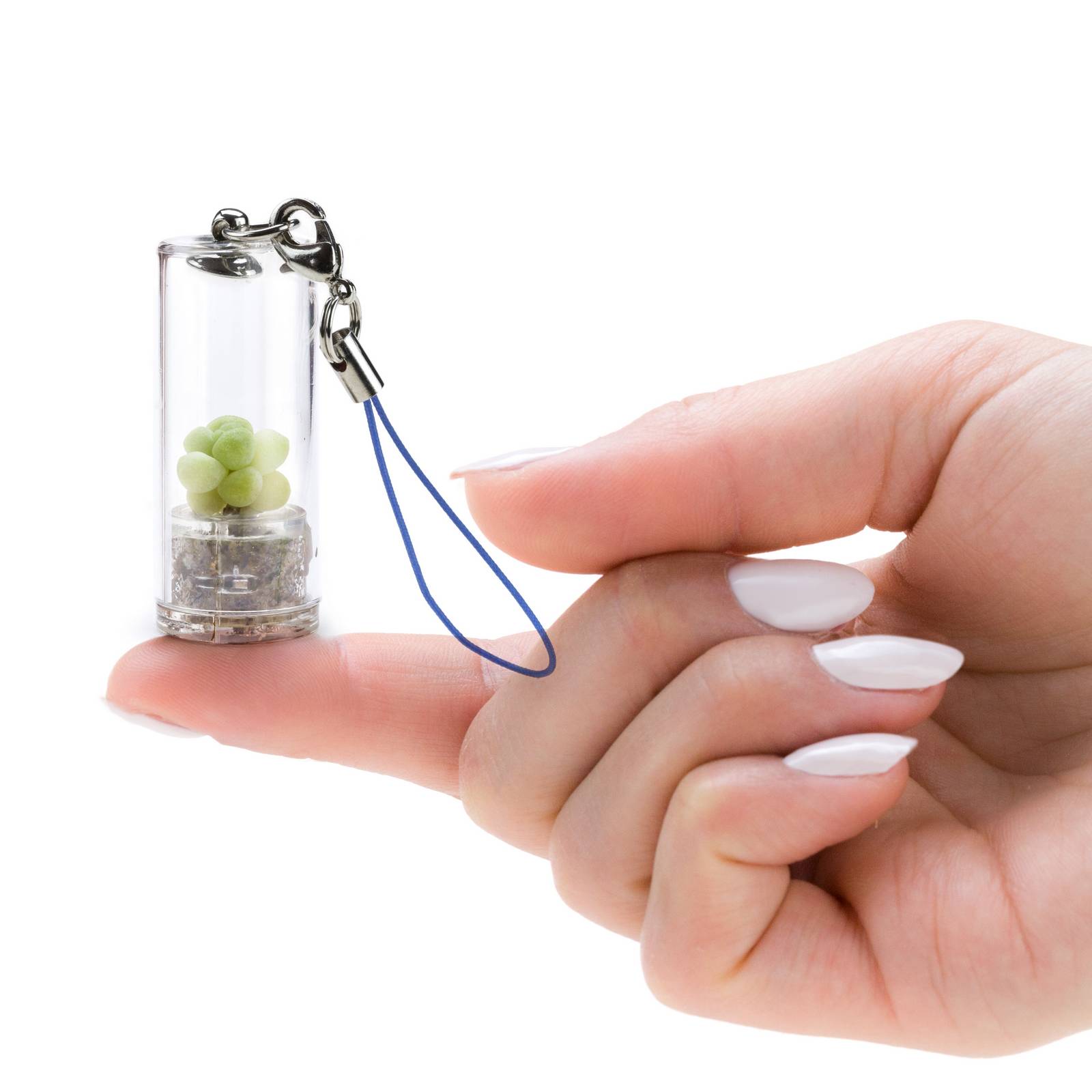 MINIFUN – EASYPACK – FLOE