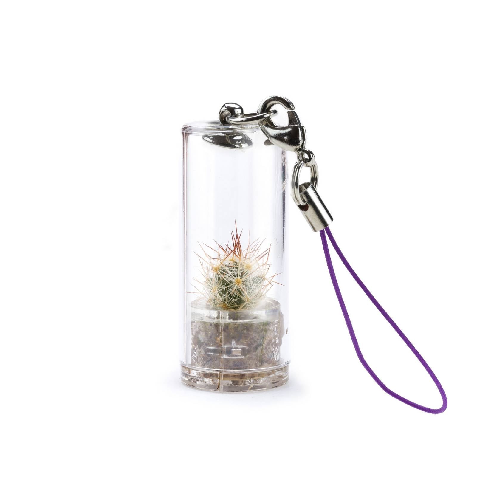 MINIFUN – EASYPACK – HOLLY