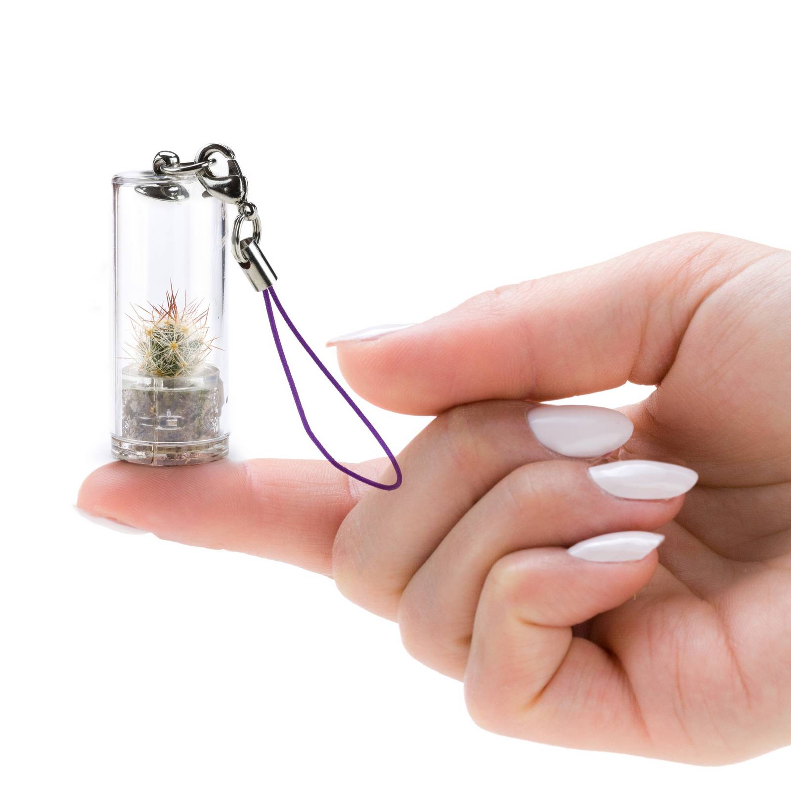 MINIFUN – EASYPACK – HOLLY