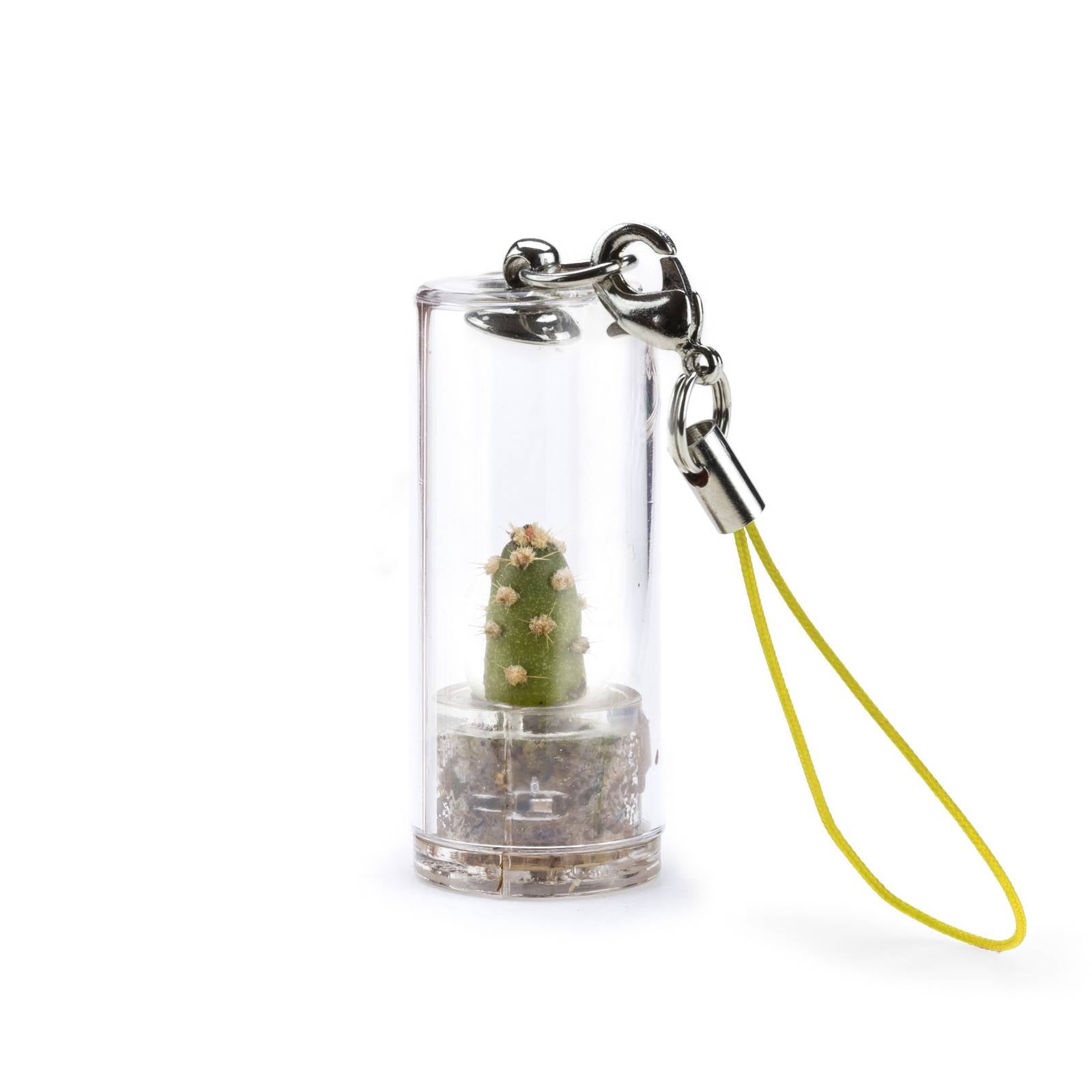 MINIFUN – EASYPACK – JOY