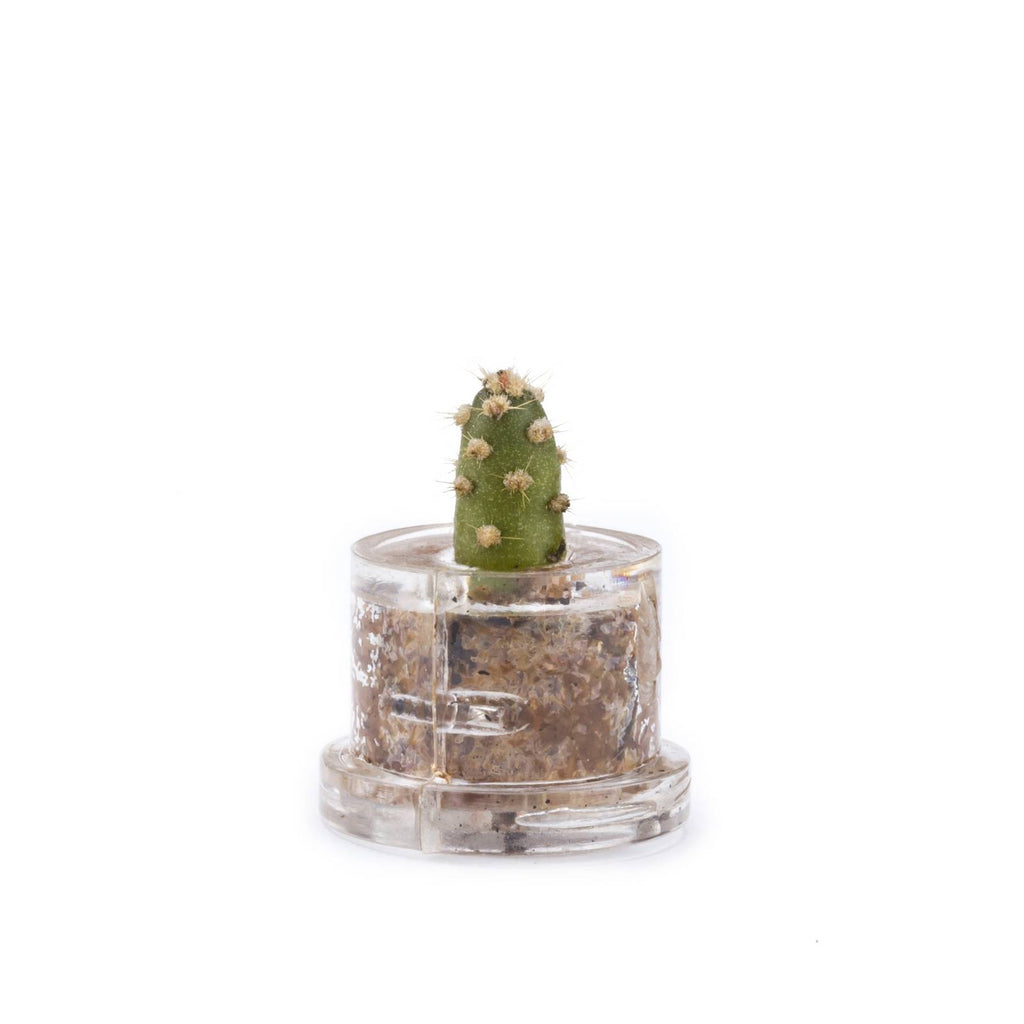 MINIFUN – EASYPACK – JOY