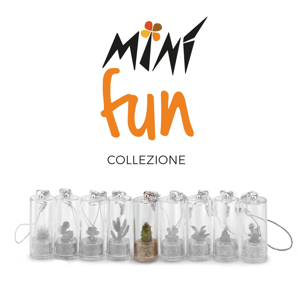 MINIFUN – EASYPACK – JOY