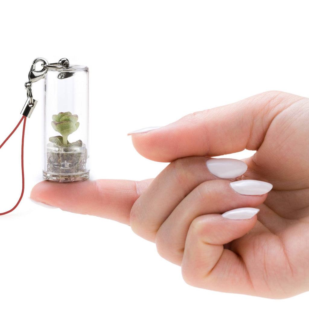 MINIFUN - EASYPACK - SOPHIE