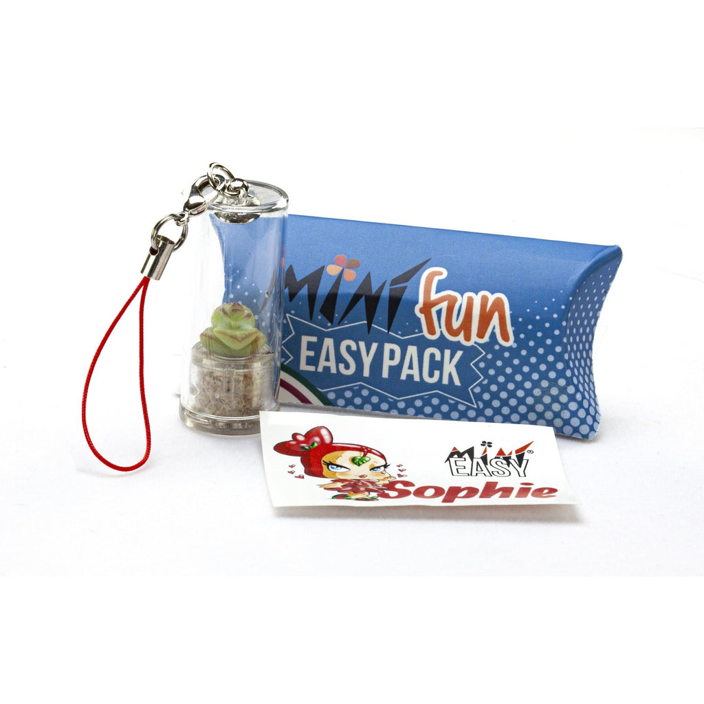 MINIFUN - EASYPACK - SOPHIE