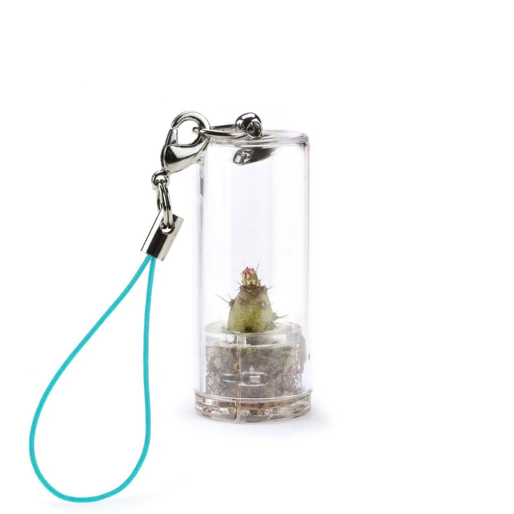 MINIFUN - EASYPACK - SUE