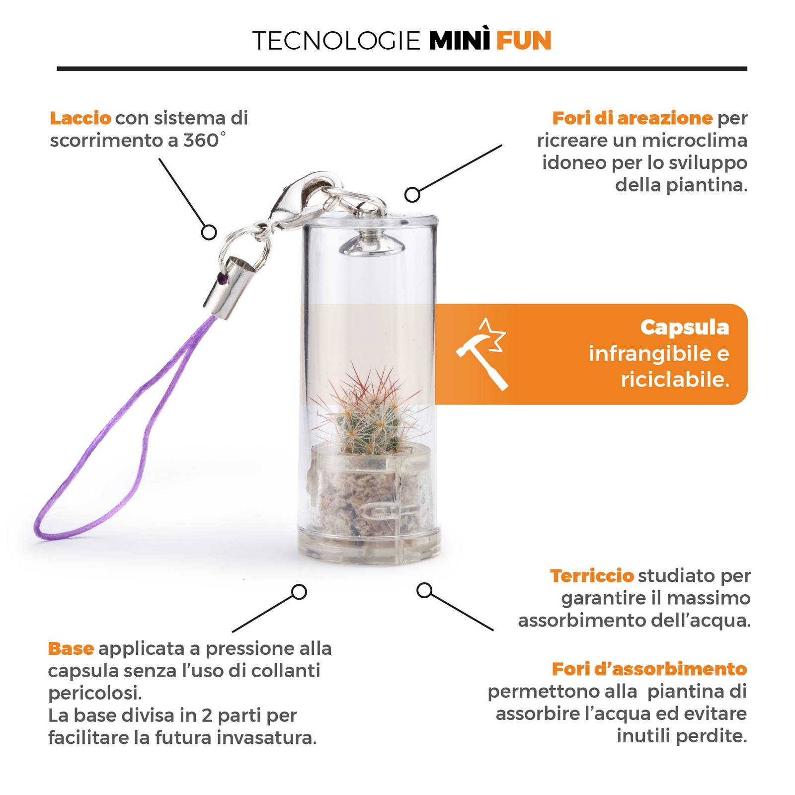 Minì Fun Axel - Grintoso e sicuro di sè, rappresenta la determinazione!